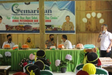 Dinas Peternakan dan...