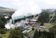PLN: Holding BUMN Panas...