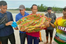Bocah Tiga Tahun Korban...