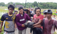 Memilukan! Petani Meninggal...