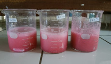 Mahasiswa UGM Gagas...
