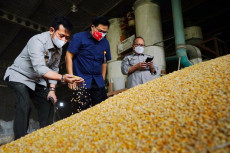 Tepis Isu Jagung Langka,...