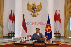 Jokowi: DPD RI Harus...