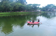 Nekat Berenang ke Tengah...
