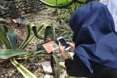 5.000 Tanaman di Kebun...