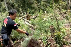 Di Pedalaman Hutan Lindung...