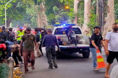 Tertimpa Batang Pohon...