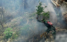 TNI dan Polri Memburu...