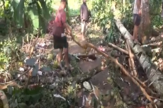 Puluhan Rumah di 2 Desa...