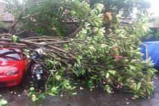 Hujan Angin di Pamulang,...