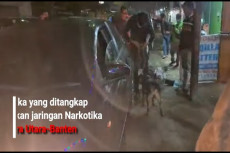Bekuk Jaringan Narkoba...