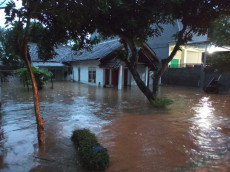 Ratusan Rumah di Jember...