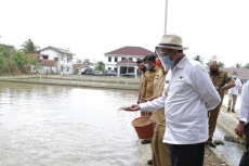 Potensi Kelautan dan...