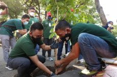 40 Ribu Pohon Disiapkan...