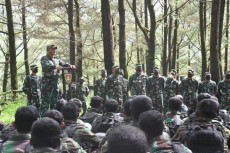Panglima Divisi Infanteri...