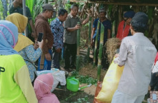 PT Vale Terapkan Pertanian...