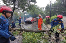 Jadi Momok di Musim...