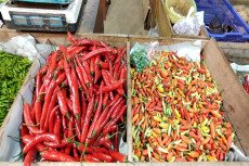Cabai Rawit Tembus Rp100.000...