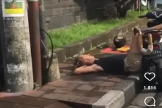 Viral! Bule di Bali...