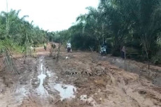 Jalan di Kelurahan Baru...