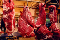 Stok Daging Surplus,...