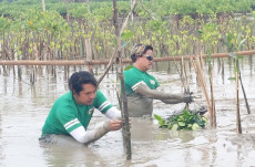 Upaya Mewujudkan Masyarakat...