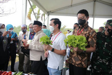 Cita-cita Menciptakan...