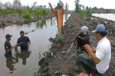 Realisasikan Usulan...