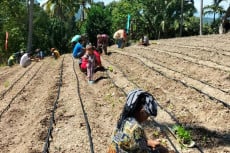 Targetkan Donasi Rp200...