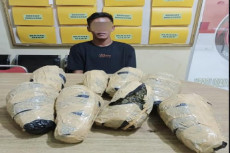 Bawa Ganja 7 Kg, Pria...