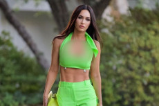 Megan Fox Tanggapi Sinis...