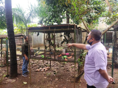 3 Penjual Satwa Dilindungi...