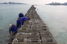 Pemecah Ombak Pulau...