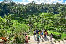 Properti Premium di...