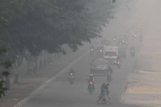 Kepungan Asap Karhutla...