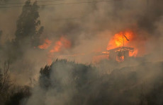 Kebakaran Hutan di Chile...