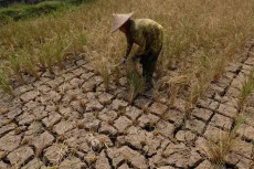 Awal Musim Kemarau 2024...
