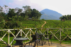Pusat Informasi Wisata...