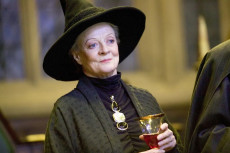 Pemain Film Harry Potter...