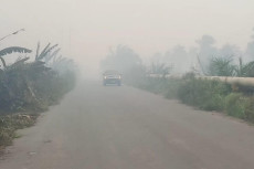 Dikepung Kabut Asap...