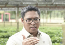 30 Hektare Sawah Gagal...