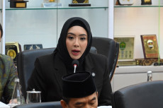 Anggota DPR Cindy Monica:...