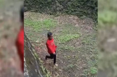 Viral Bocah Nyaris Masuk...