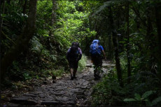 Pendakian Gunung Meningkat,...