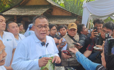 Jumhur Dorong Penanaman...