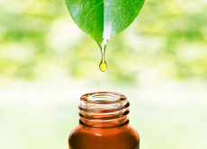 Industri Herbal Andalkan...
