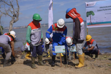Investasi Hijau, Pertamina...