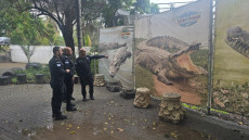 Israel Berencana Gunakan...
