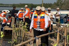 Hari Mangrove Sedunia,...