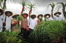 Hadir di Sulut, Program...